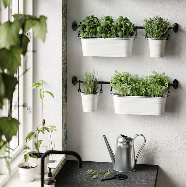 Three IKEA FINTORP black rails mounted onto a wall to store potted microgreens by the kitchen window and sink.