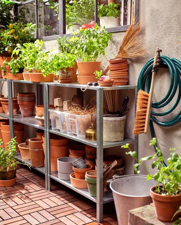Three shelving units, lots of terracotta pots, planted herbs, plastic boxes, wooden floor decking and a green water hose.