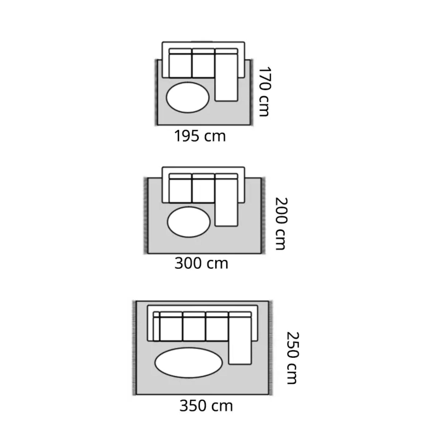 Three variations of a living room layout are illustrated, each showing the exact dimensions of rugs, furniture, and a chaise longue.