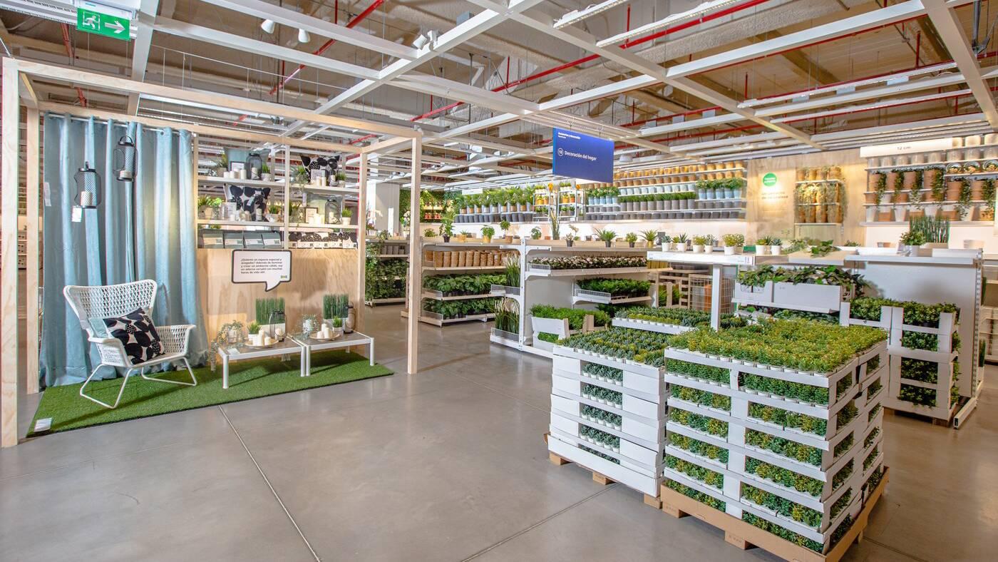 Conoce más sobre IKEA Cali