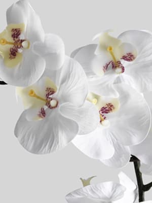 Tiges de fleurs artificielles blanches
