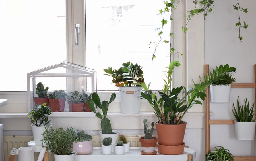 Tips voor een groen hoekje bij jou thuis - IKEA