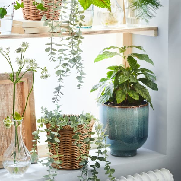 Todos los accesorios decorativos