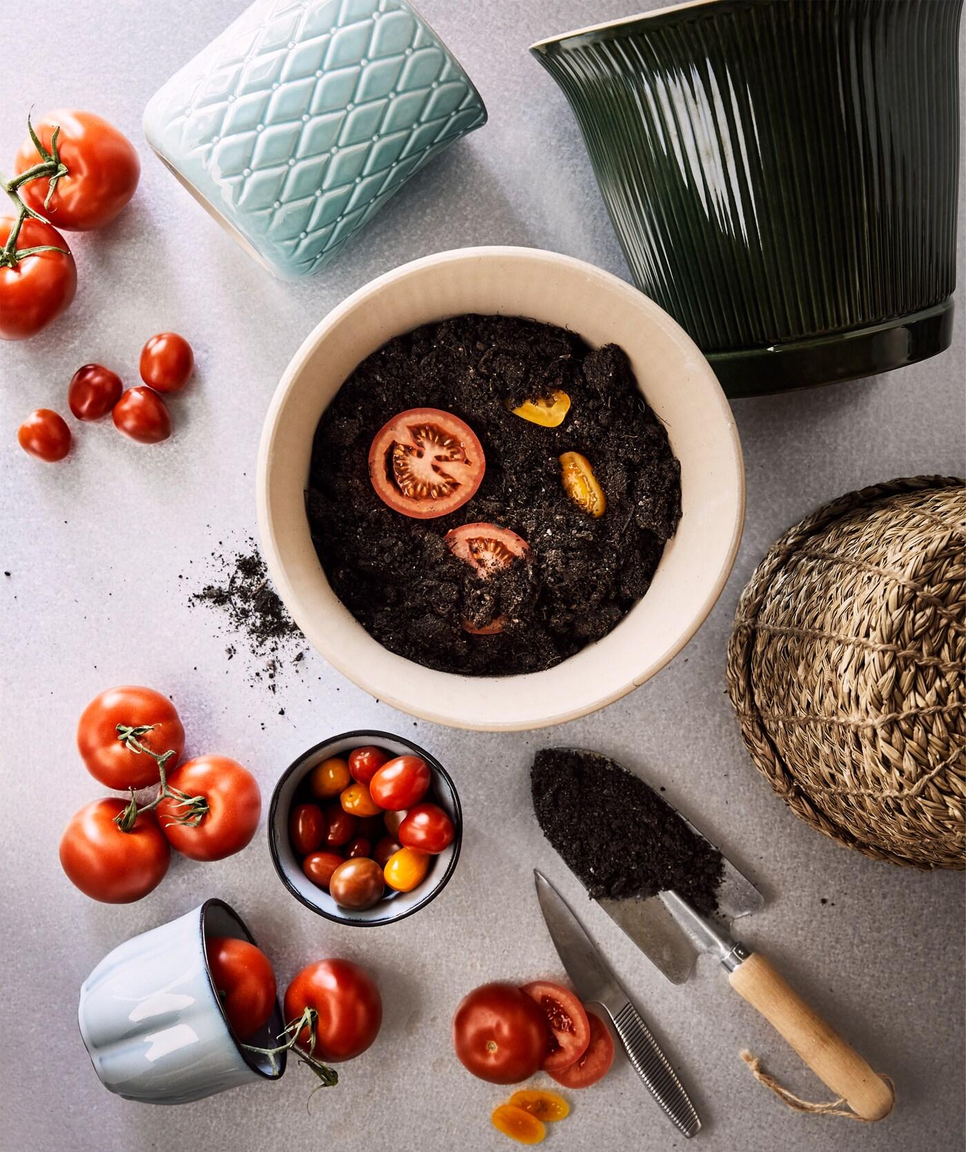 Tomato seeds are being planted in a large pot, a few other pots and some potting equipment can be seen