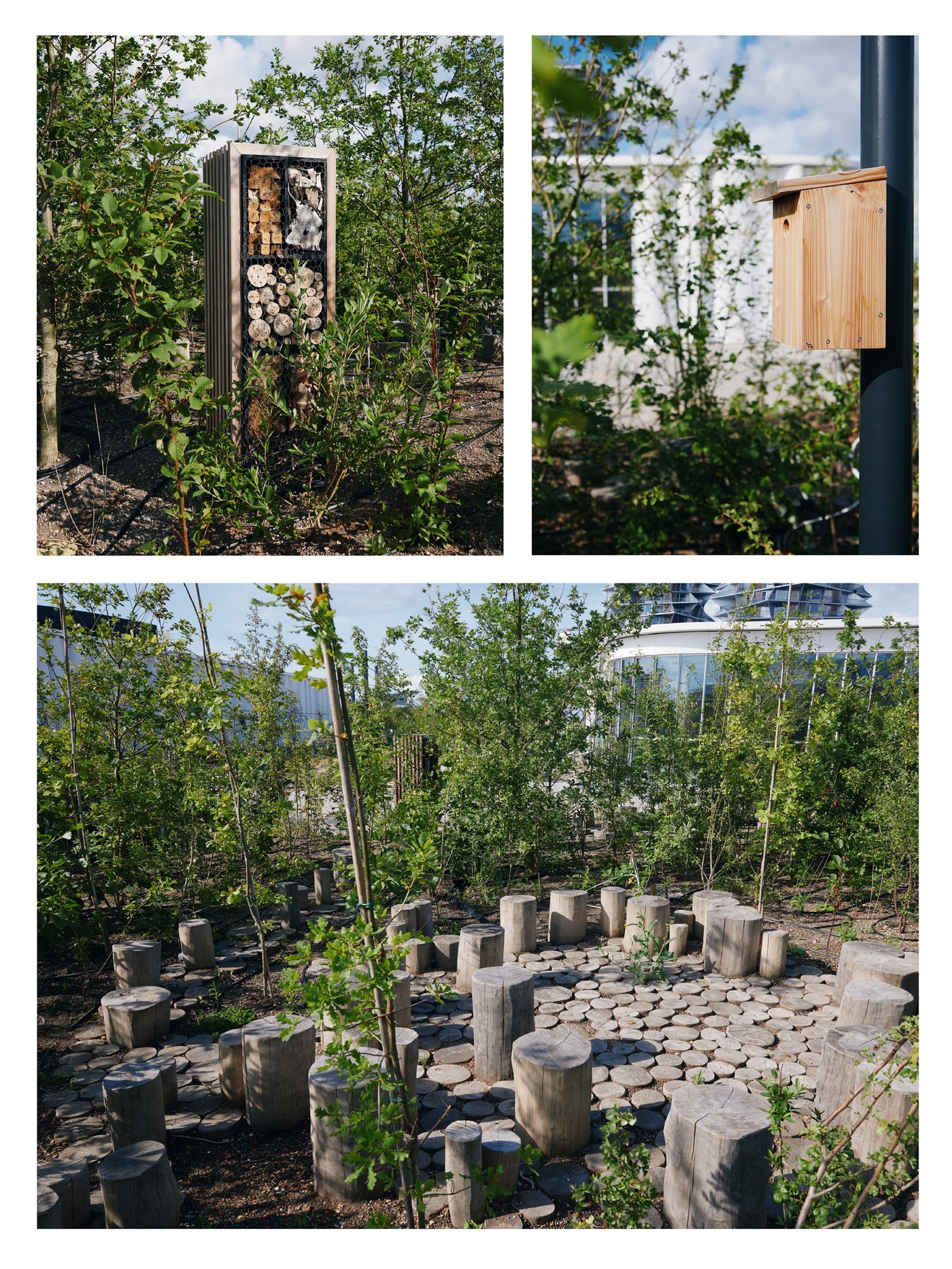 Tre billeder fra IKEA Københavns taghave.