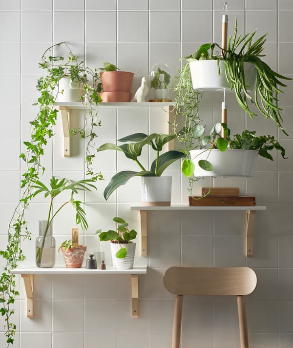 Trei polițe amplasate la diferite înălțimi și un ghiveci suspendat BITTERGURKA alb cu plante verzi pe un perete cu faianță albă.