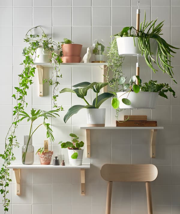 Trois étagères à hauteurs variées et une jardinière BITTERGURKA blanche avec des plantes vertes sur fond de carrelage blanc.