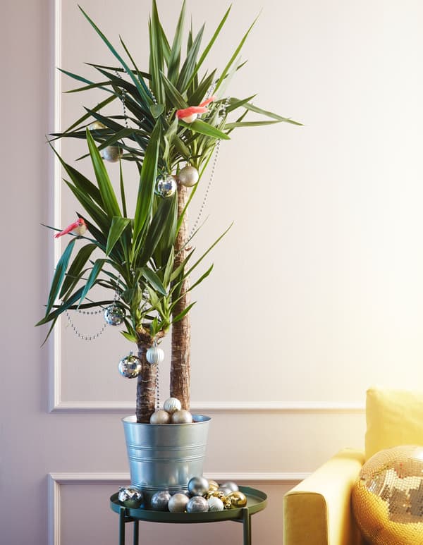 Try a faux Christmas tree this holiday! Just put a plant into a pot and pimp it with Christmas tree lights and deco. IKEA has a broad range of plants and pots, such as SOCKER plant pot. The plant pot is galvanised to protect it against corrosion.