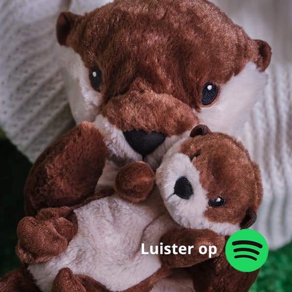 Twee otter knuffels