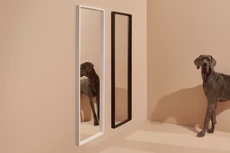 Twee passpiegels naast elkaar aan de muur, een met een zwarte lijst, de ander met een witte lijst. Een hond poseert en je ziet de reflectie in een van de spiegels.