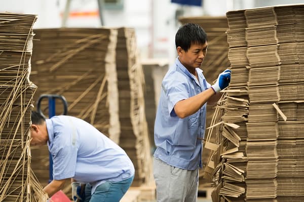 Two factory workers wearing light blue shirts and gloves are checking stacks of cartons. 
