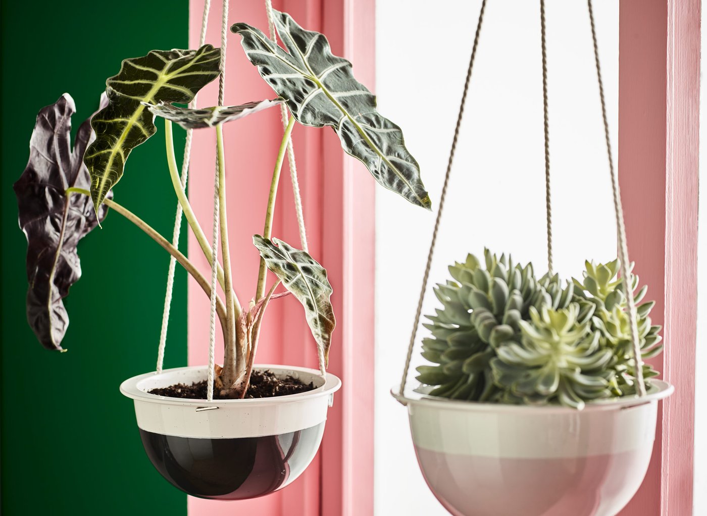 How to grow plants indoors IKEA