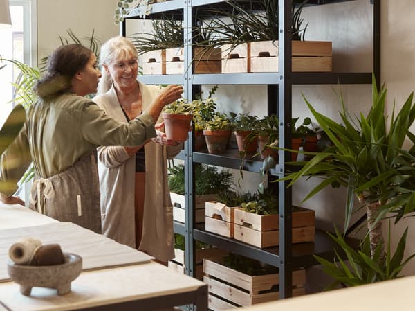 Two ladies in a light beige plant shop discussing together while one is holding a potted plant.