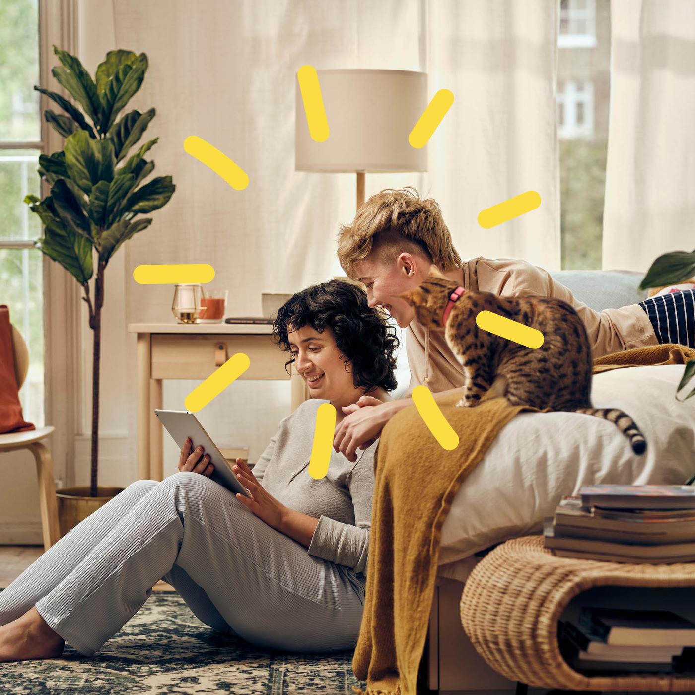 Two people and a cat happily looking at a tablet in a sunlit room.