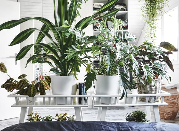 Two potting tables full of plants along the end of a bed.