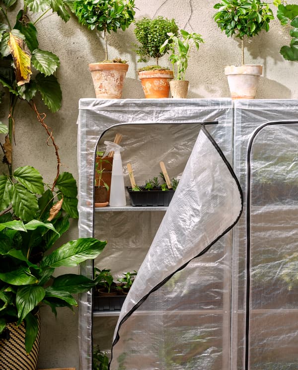 Two shelving units with plastic covers, one cover is open and small plants are on the shelves. Plants are on the top shelves.