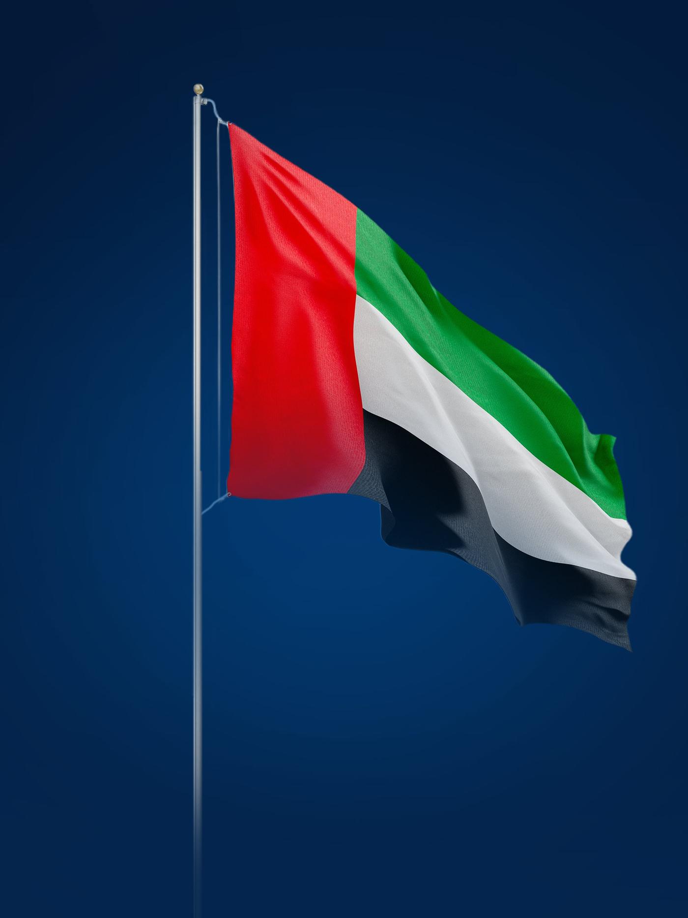 UAE flag