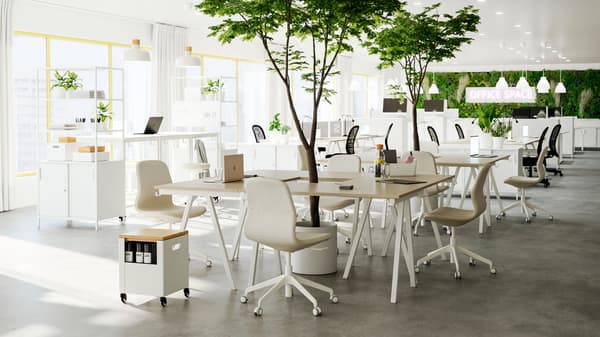 Ufficio open space con diversi gruppi di scrivanie e sedie in beige/bianco, con piante verdi nel mezzo.