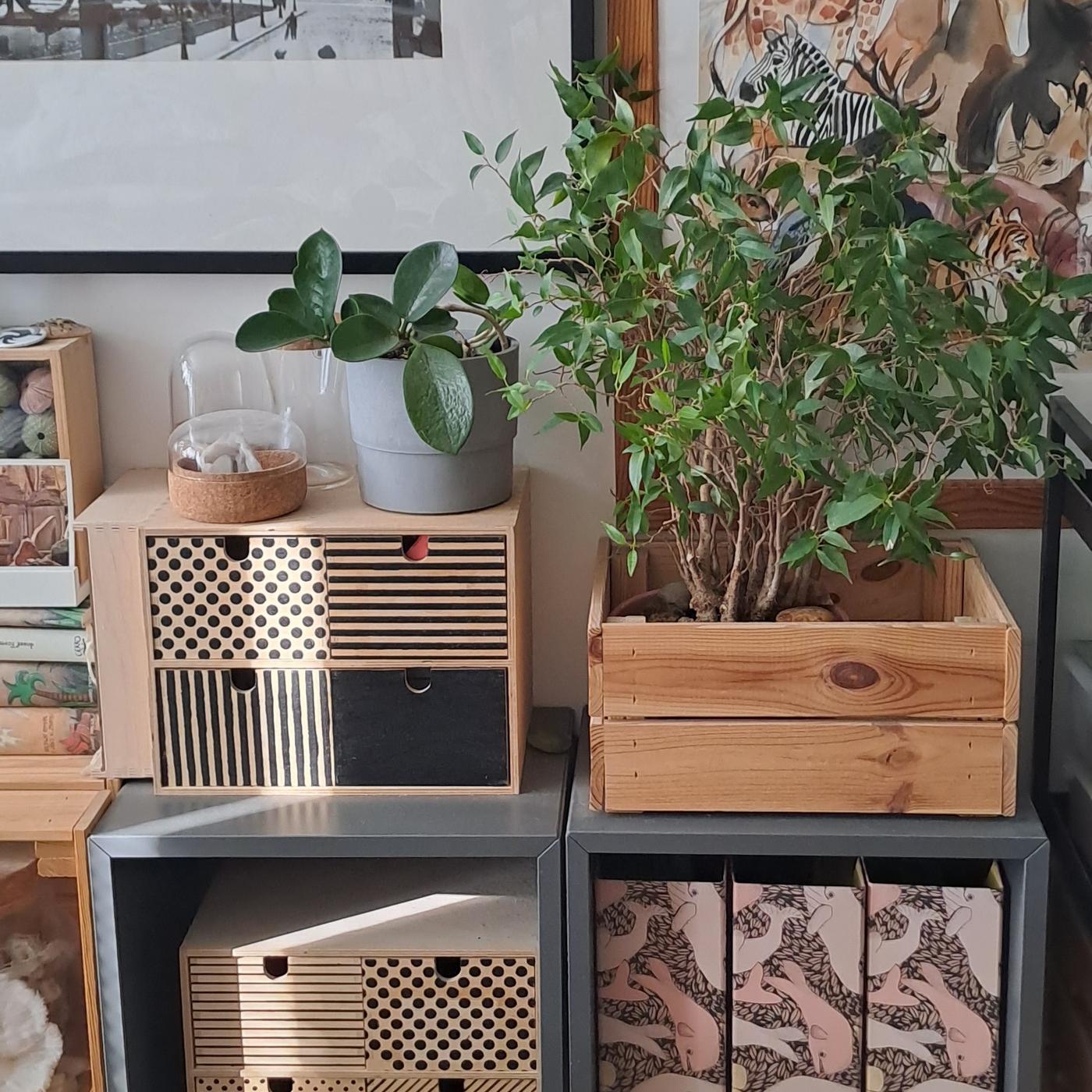 Úložné priestory vytvorené zo série EKET, na ktorých je drevený, štvorcový kvetináč s rastlinou, a vedľa drevená skrinka so 4 zásuvkami s rôznymi vzormi v čiernej farbe na čelách.