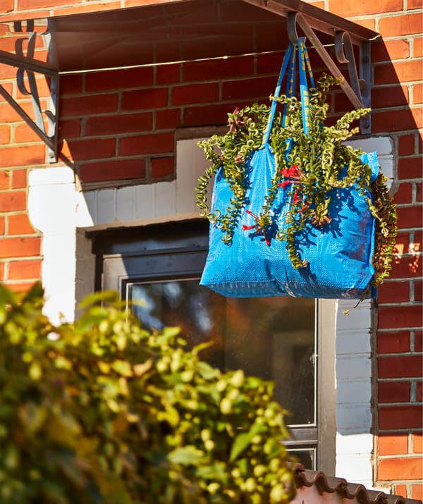 Um saco FRAKTA, azul, impermeável a ser usado como um grande vaso suspenso para uma planta.