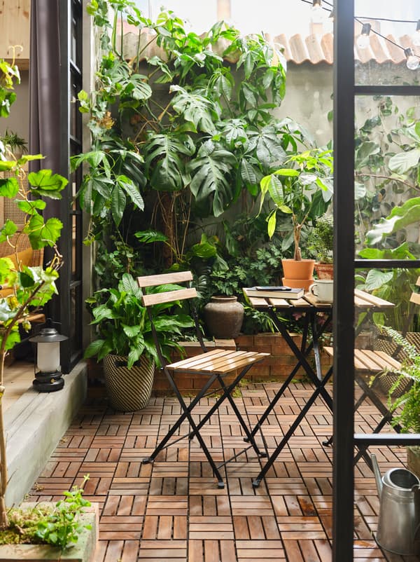 Um terraço com pavimento de madeira RUNNEN, plantas de diferentes tamanhos a cobrir as paredes e móveis de exterior TÄRNÖ em acácia.