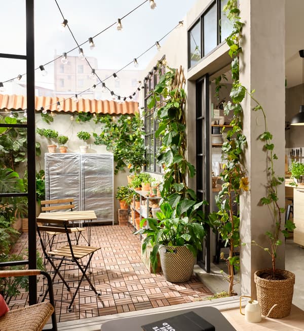 Um terraço revestido com pavimento de madeira RUNNEN e muitas plantas de diferentes tamanhos em vasos ao longo das paredes.