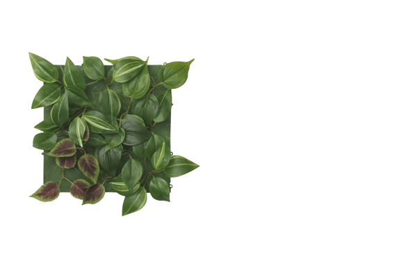 uměla rostlina, nástěnné upevnění