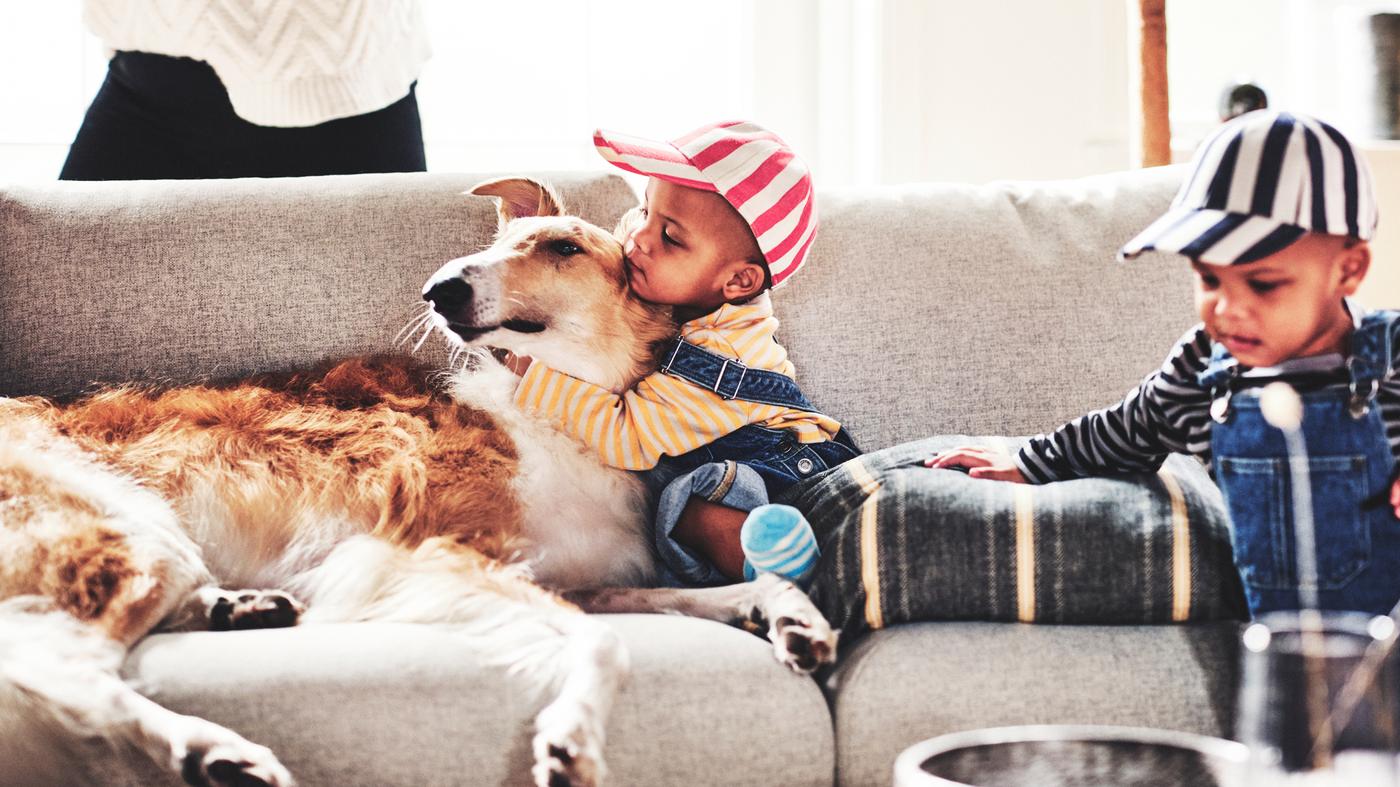 Un bambino abbraccia un cane su un divano a tre posti VIMLE beige, mentre il fratellino in piedi tiene una mano appoggiata sul divano.