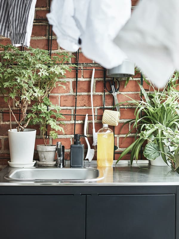Un bancone con un lavabo a incasso in acciaio. Attorno, diverse piante in vaso e accessori per la pulizia.