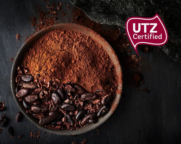 Un bol rempli de fèves de cacao certifiées UTZ, la plupart réduites en cacao en poudre, et le logo UTZ.