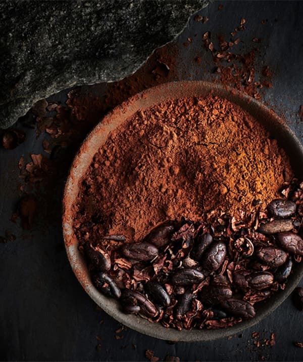 Un bol rempli de poudre de cacao et de fèves de cacao.