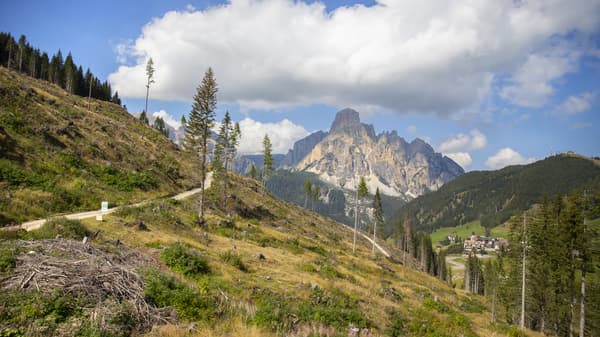 Un campo lungo della foresta nell’area del Comune di Corvara.  