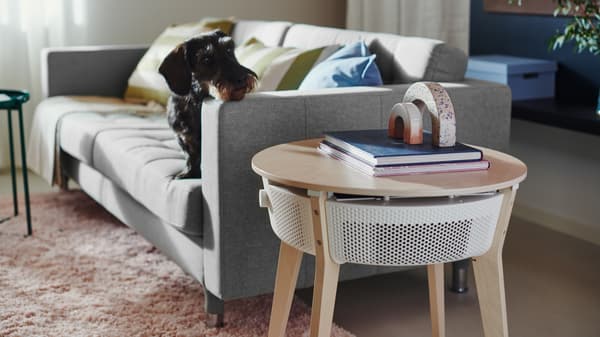 Un chien a la tête posée sur l’accoudoir d’un canapé LANDSKRONA et regarde une table avec purificateur d’air STARKVIND.