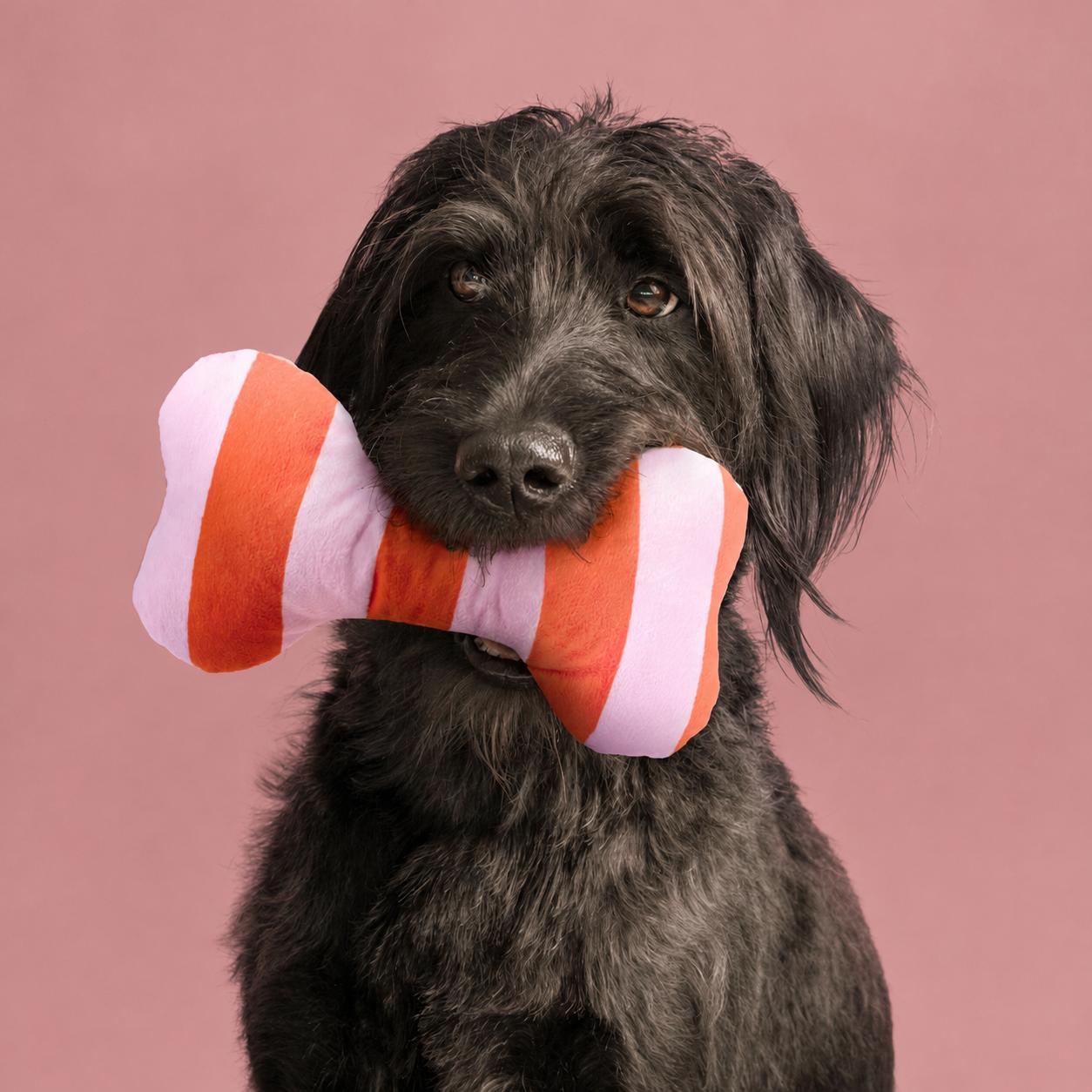 Un chien noir au pelage hirsute tient un os en peluche à rayures orange et blanches devant un fond rose, dans une ambiance ludique IKEA.