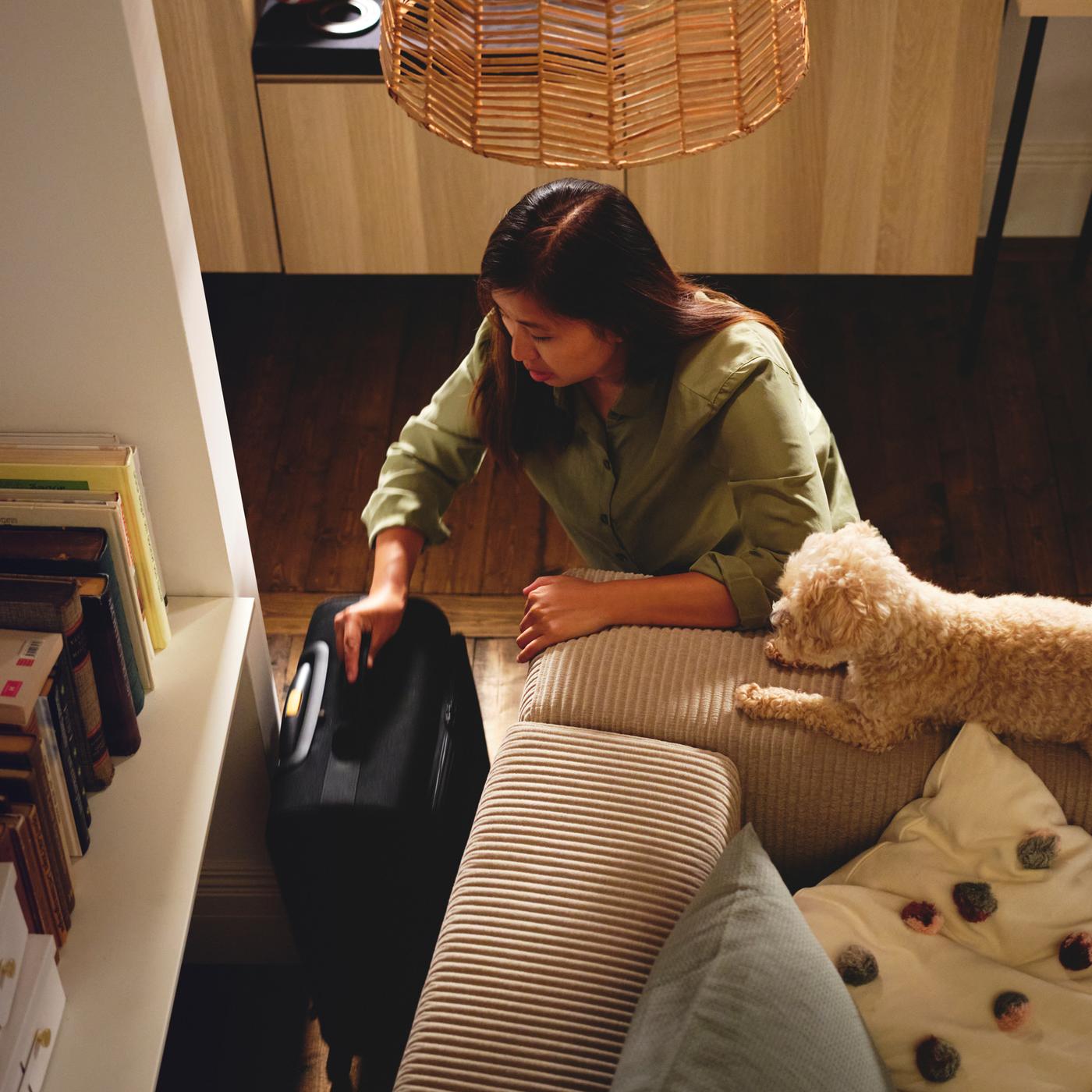 Un chien près d’une personne sortant un bagage cabine noir VÄRLDENS à roulettes de derrière un canapé modulaire 3 places JÄTTEBO.