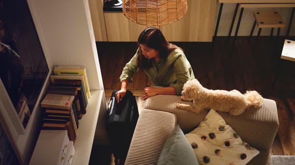 Un chien près d’une personne sortant un bagage cabine noir VÄRLDENS à roulettes de derrière un canapé modulaire 3 places JÄTTEBO.