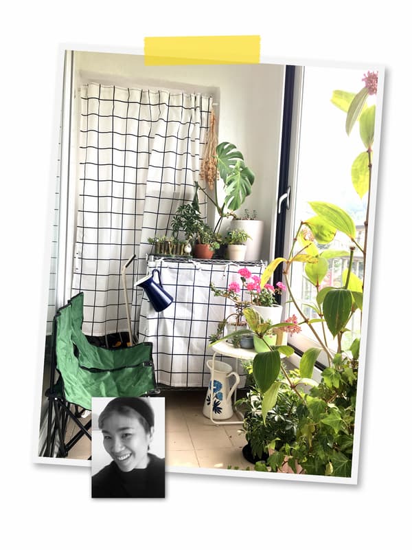 Un collage de deux photos: une pièce remplie de plantes, avec des étagères fermées par du tissu à motif, et le portrait d’une collaboratrice IKEA.