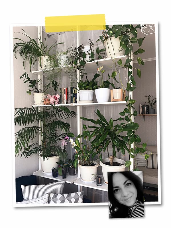 Un collage de deux photos : une unité ELVARLI du sol au plafond qui divise la pièce, avec des plantes vertes, et une photo d'une collaboratrice IKEA.