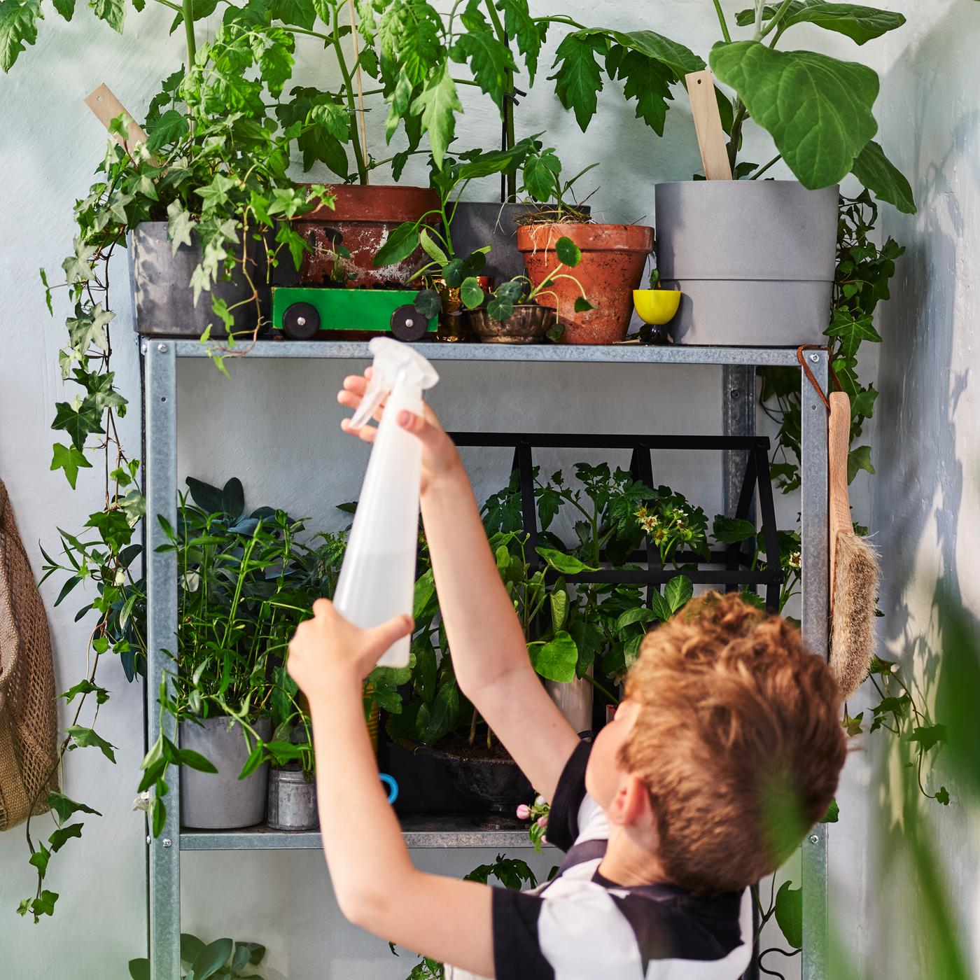 Un enfant se tient devant une étagère HYLLIS contenant des plantes en pot. Il pointe un vaporisateur dans leur direction.