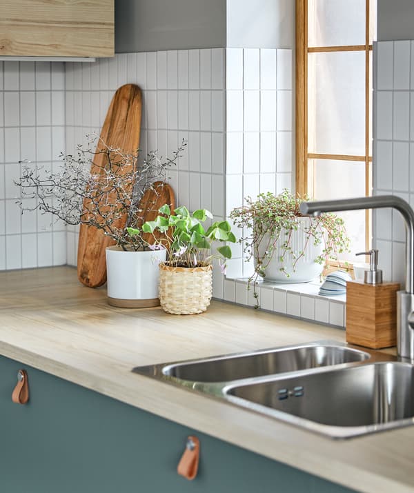 Un ensemble hétéroclite de plantes dans des pots décoratifs regroupés sur un plan de travail de cuisine et sur un appui de fenêtre ensoleillé.
