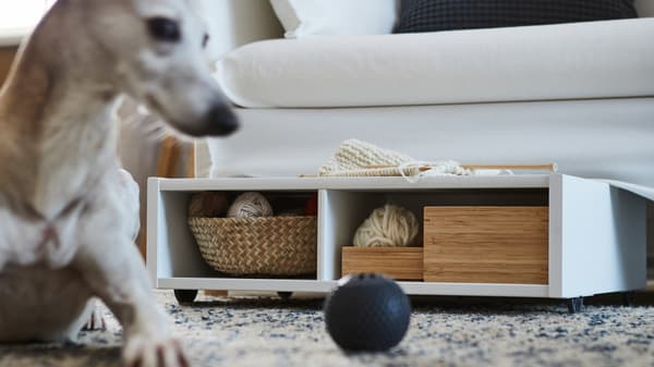 5 nouvelles idées de rangement pour votre maison - IKEA CA