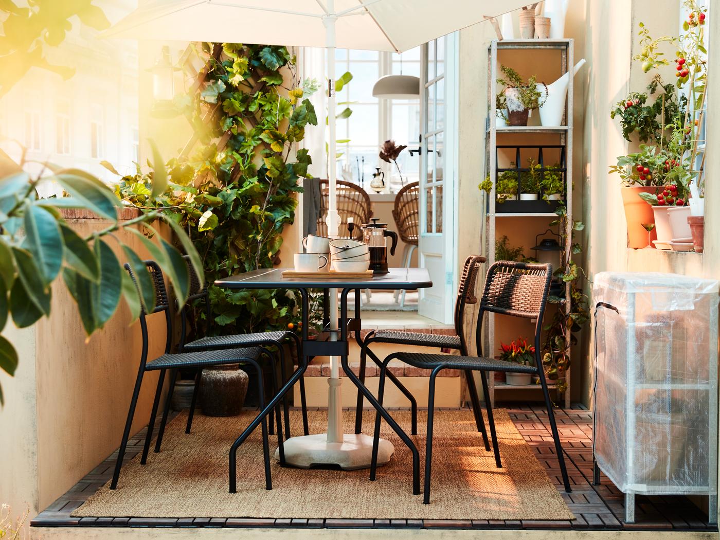 Un espace extérieur ensoleillé, meublé d’un ensemble salle à manger VIHOLMEN gris foncé, d’un parasol TVETÖ, de quantité de plantes et d’un tapis LYDERSHOLM.