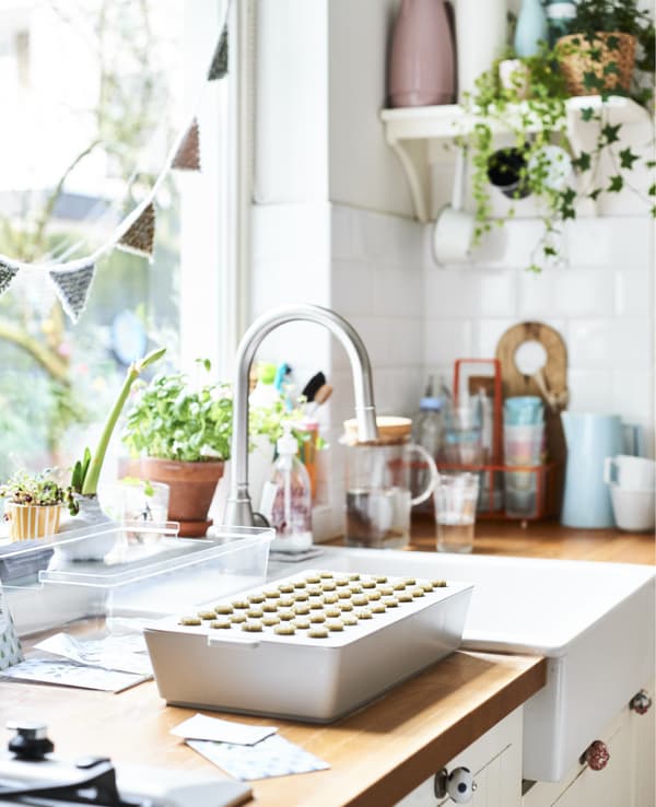 Un évier de cuisine blanc et un plan de travail en bois avec une boîte pour semis et des plantes en pot.