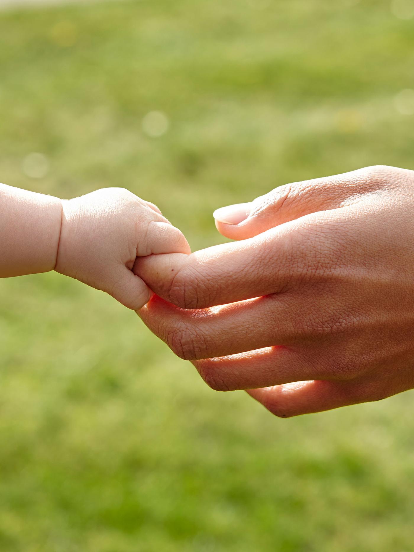 Un futuro sustentable