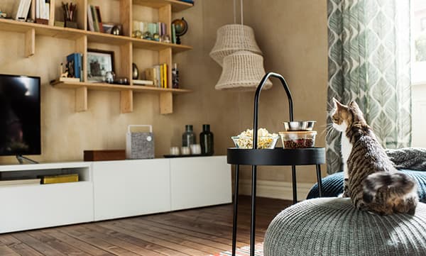 Un gatto in un soggiorno seduto su un pouf grigio SANDARED. Di fronte, un tavolino nero BURVIK con ciotoline. Sulla parete di fondo pensili e una parete TV BESTÅ.