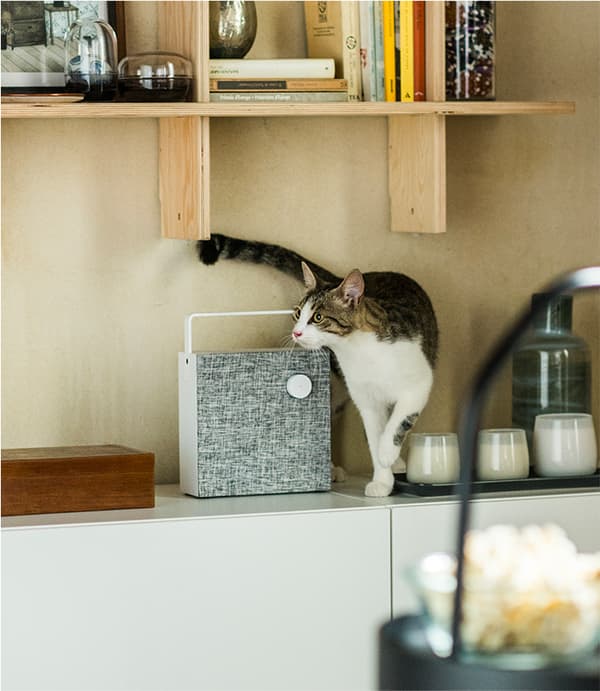 Un gatto su un mobile accanto ad una cassa VAPPEBY.