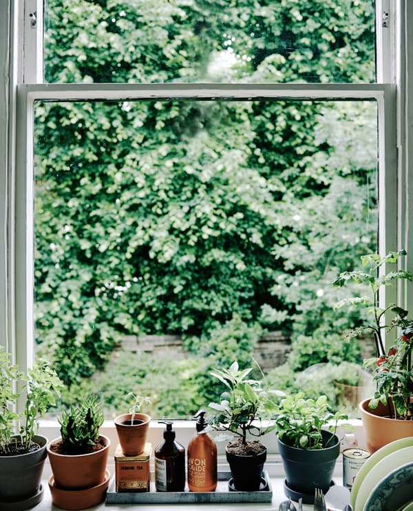 Un giardino sul davanzale - IKEA.
