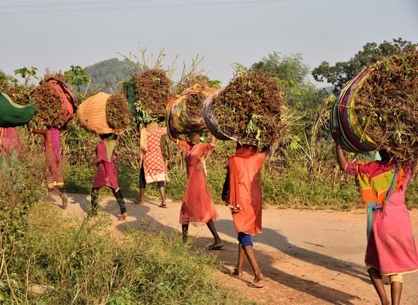 Un gruppo di donne africane dagli abiti variopinti, che trasporta grandi fascine di erbe sulla testa. – IKEA