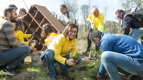 Un gruppo di persone aiuta a creare una bee-house