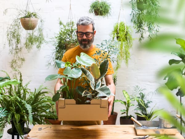 Un homme barbu à lunettes sourit, il tient un carton rempli de plantes dans un intérieur orné de plantes.